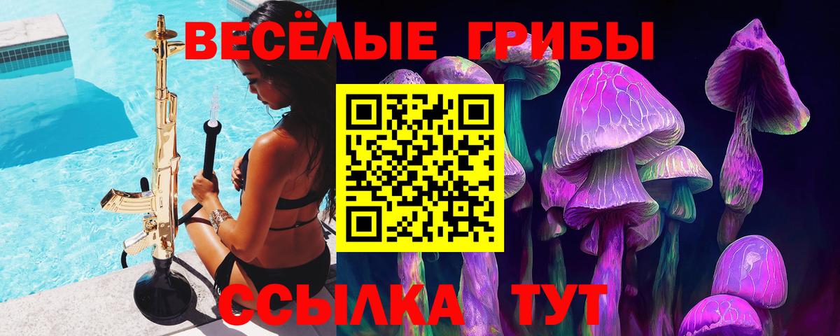 Галлюциногенные грибы MAGIC MUSHROOMS  Вход с VPN  Северобайкальск 